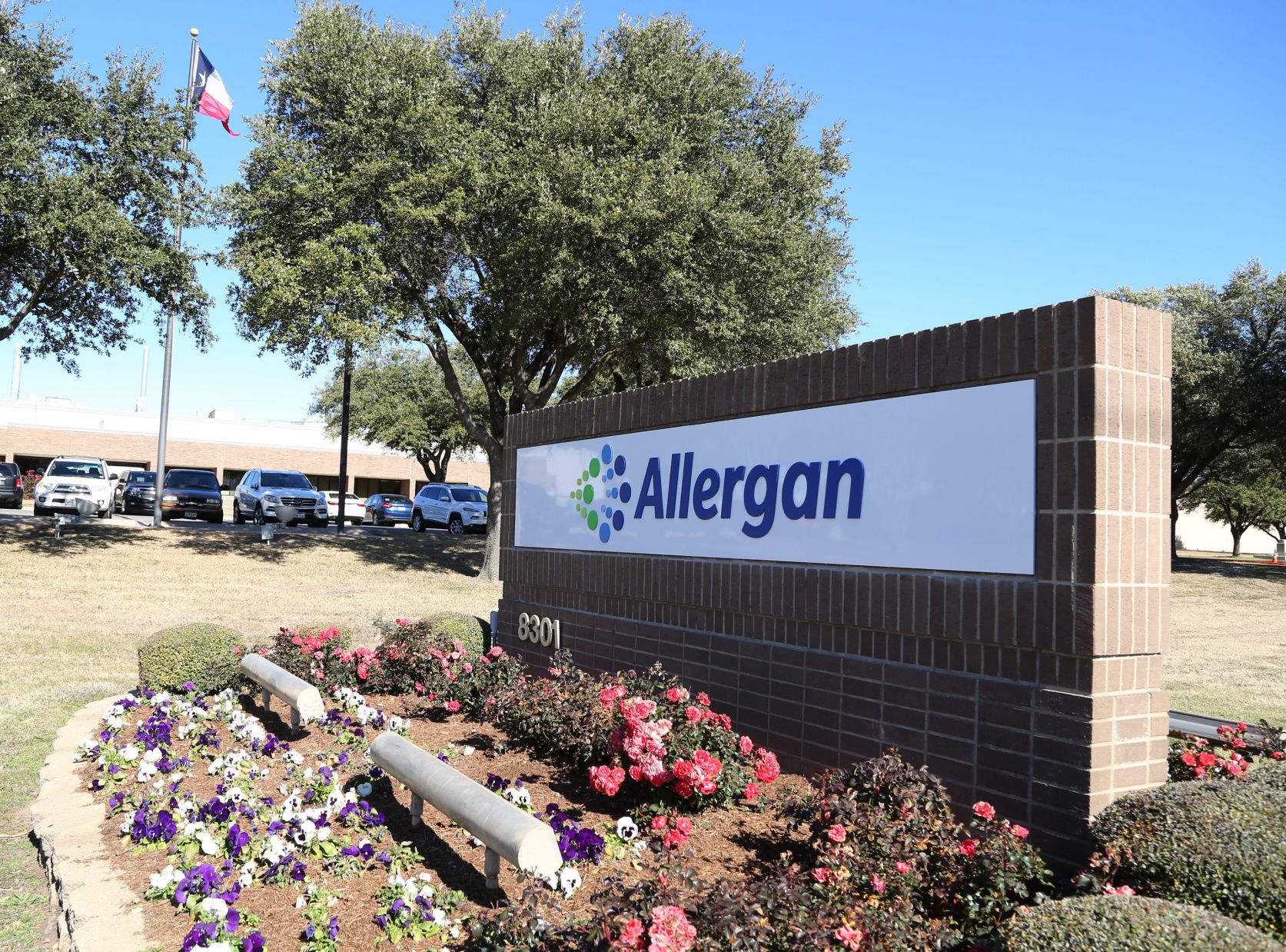 Allergan (copy)